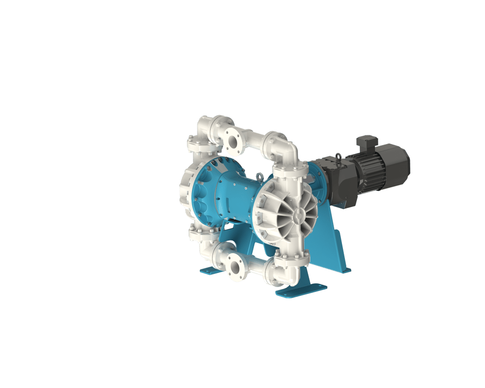 COG.E.PP.3.10.IN.10[B]