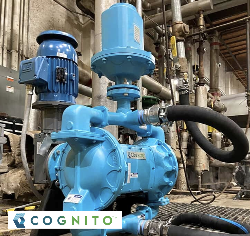 Screenshot 2026-02-09 at 2.20.02 PM